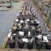 potted-up-roses